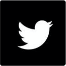 The Twitter icon.